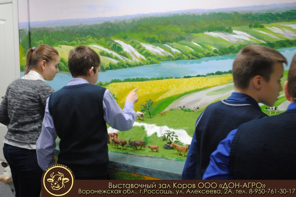 4 шк 5 6 класс