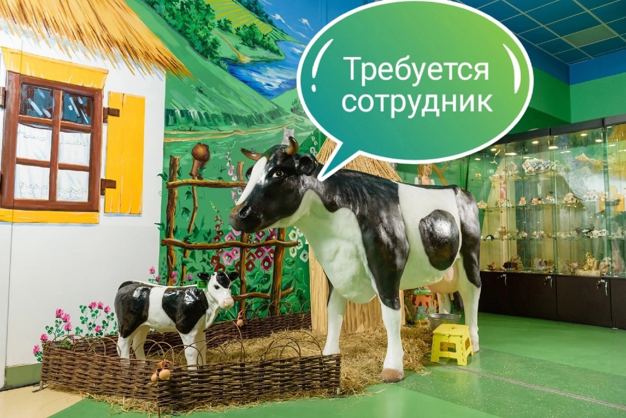 Новый сотрудник